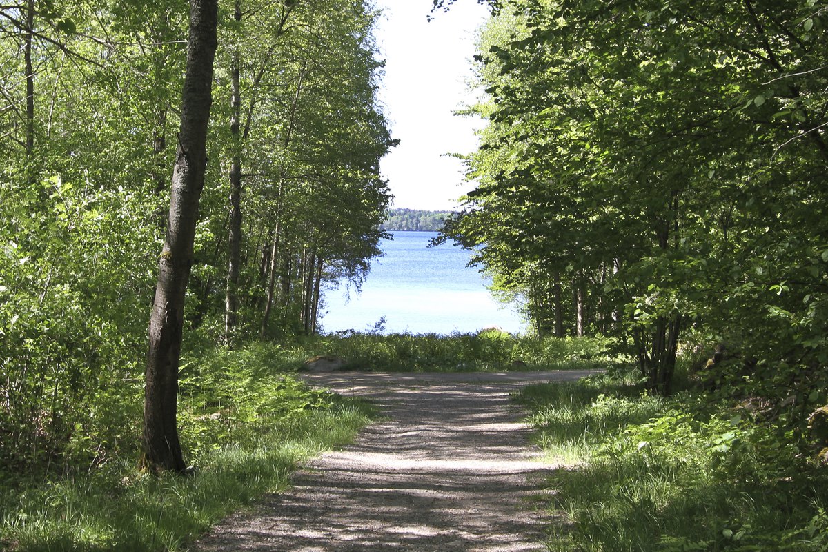 Promenadsstig intill Södra Bergundasjön på Teleborg